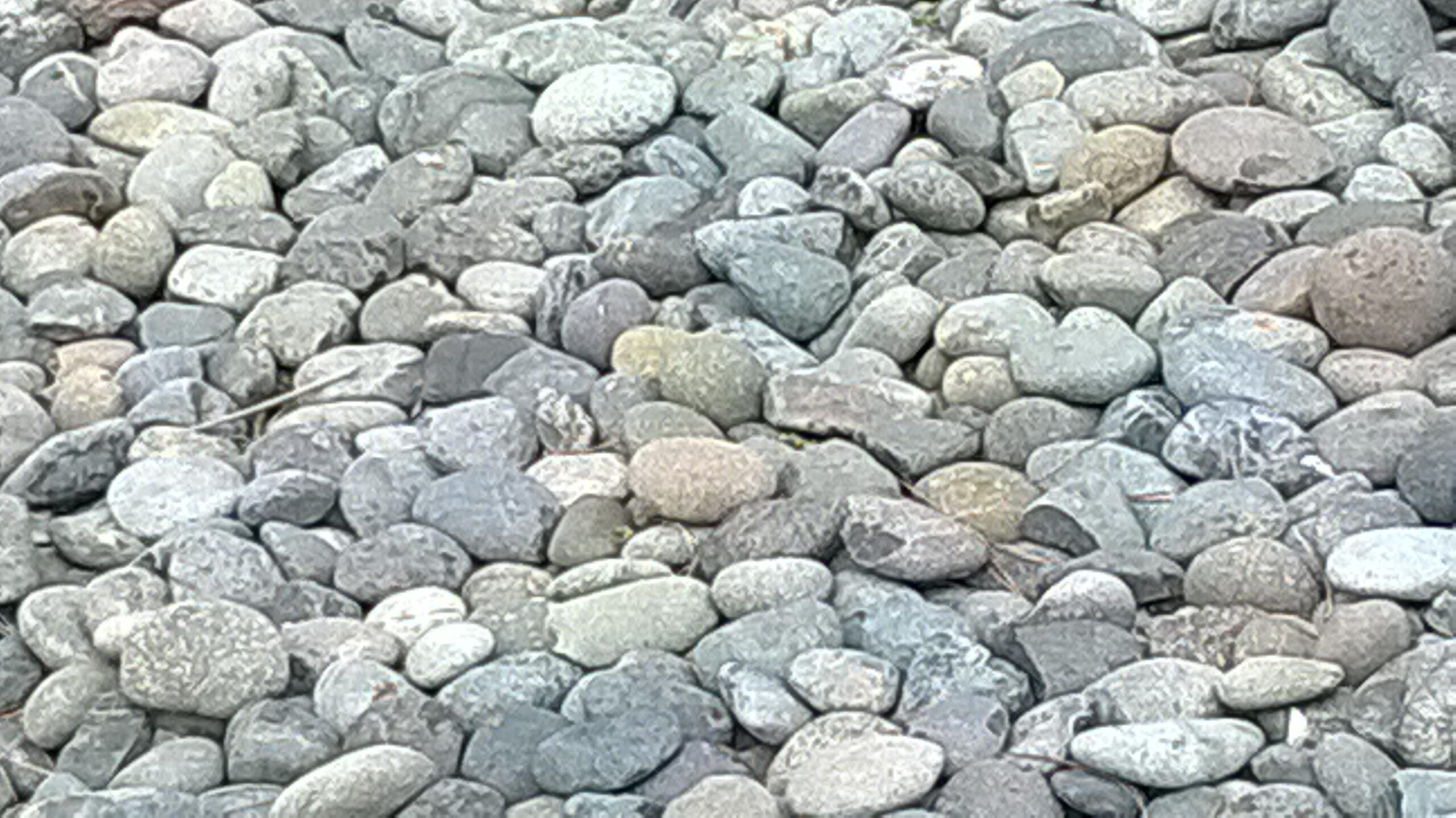 WP_20141109_008